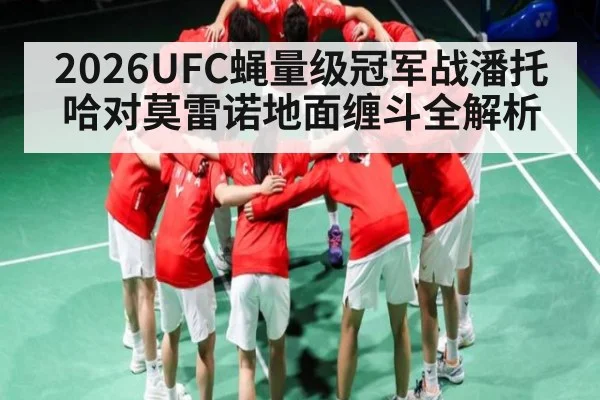2026UFC蝇量级冠军战潘托哈对莫雷诺地面缠斗全解析